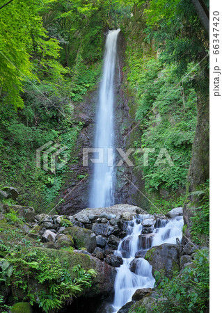 【養老の滝】 岐阜県養老郡養老町高林 66347420
