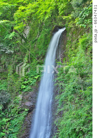 【養老の滝】 岐阜県養老郡養老町高林 66347431