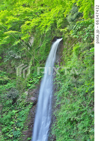 【養老の滝】 岐阜県養老郡養老町高林 66347432