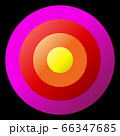 Concentric circles 66347685