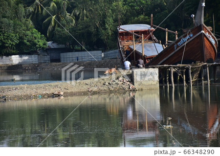バングラデシュのコックスバザール　海岸沿いのイスラム教徒の村　土手を歩く野良犬と停留中の漁船 66348290