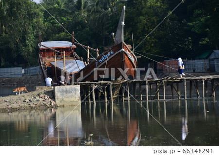 バングラデシュのコックスバザール　海岸沿いのイスラム教徒の村　橋を渡る女学生と野良犬　停留中の船 66348291
