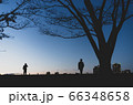 散歩 66348658