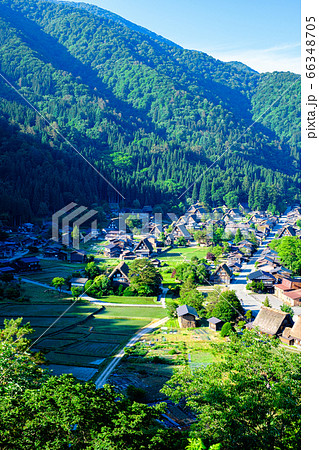 初夏の白川郷（朝） 66348705