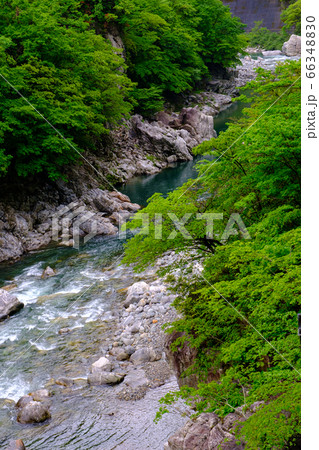 岐阜・新緑・霧かかる神通川（高原川） 66348830