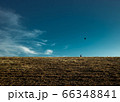 土手 66348841