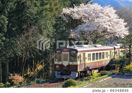 わたらせ渓谷鐵道「桜満開の風景と列車」 わたらせ渓谷鐵道「桜満開の風景と列車」 66348846