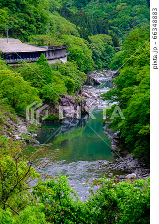 岐阜・神通川（高原川）と国道41号スノーシェッド 66348883