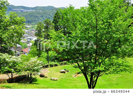 神奈川県立七沢森林公園 わんぱくの森からの眺望 神奈川県立七沢森林公園 わんぱくの森からの眺望 66349344