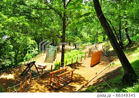 神奈川県立七沢森林公園　わんぱくの森　アスレチック広場の遊具と新緑 66349345