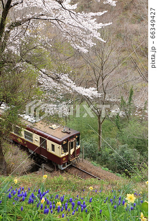 わたらせ渓谷鐵道「春の花々咲く山間部風景」 66349427