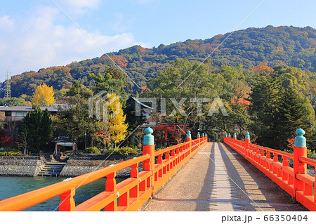 宇治川朝霧橋と紅葉風景 宇治川朝霧橋と紅葉風景 66350404