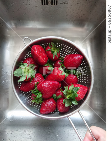 Washed ripe juicy red strawberries in mesh 66350967