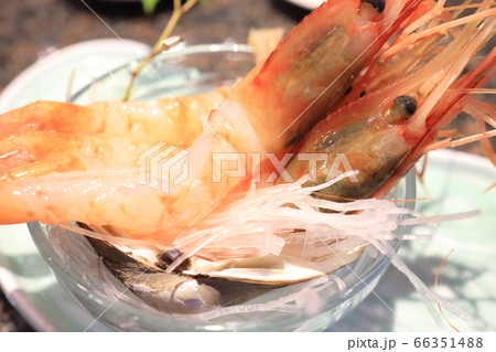 おいしいボタン海老 66351488