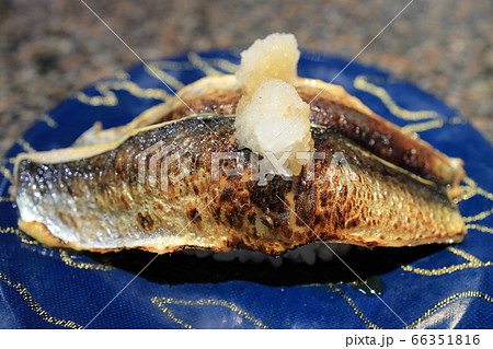 美味しい炙り鰯握り 回転寿司 美味しい炙り鰯握り 回転寿司 66351816