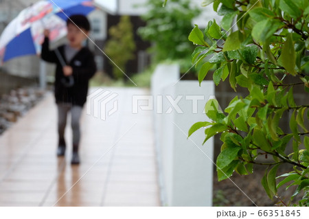 傘をさす男の子 66351845