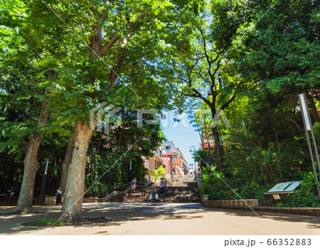 東京 井の頭公園 東京 井の頭公園 66352883