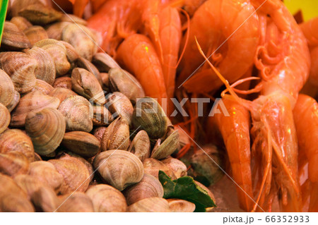 Vongole seashells shrimps background Vongole seashells shrimps background 66352933
