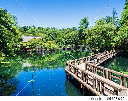 東京　井の頭公園　弁財天と弁天橋 66353042