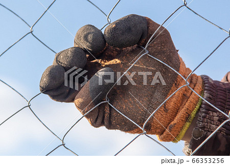 A man sets a metal mesh on the fence. A man sets a metal mesh on the fence. 66353256