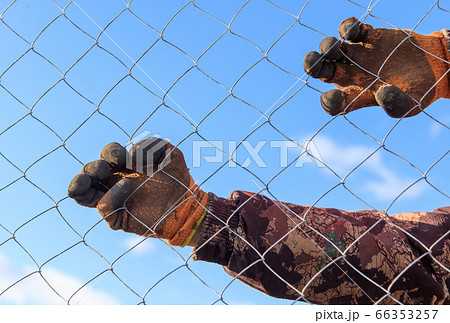 A man sets a metal mesh on the fence. A man sets a metal mesh on the fence. 66353257