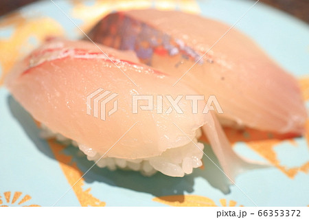 美味しいシマアジ握り　鮨　回転寿司 66353372