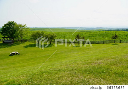 多和平・地平線の見える大牧場（標茶町） 66353685