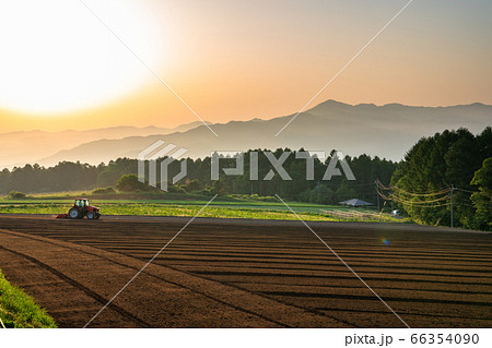 《長野県》農家の朝・早朝の田園風景 66354090