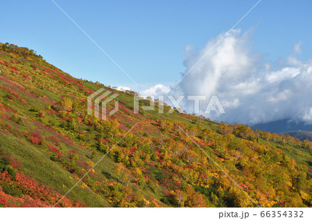 銀泉台の紅葉（北海道・上川町・大雪山系） 66354332