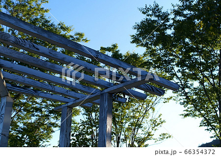 庭のパーゴラと青空 66354372