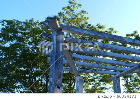 庭のパーゴラと青空 66354373