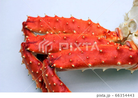 Kamchatka King crab. Close-up. Crab legs. Kamchatka King crab. Close-up. Crab legs. 66354443