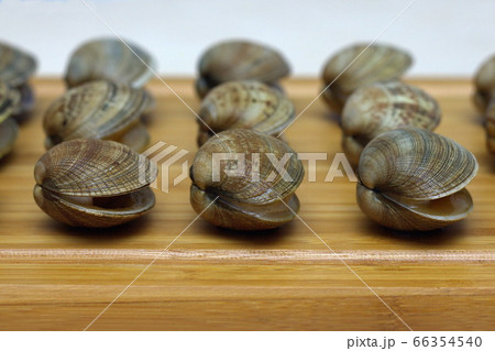 Fresh raw vongole Clams are laid out in a row on a a wooden Board. Selective focus. Fresh raw vongole Clams are laid out in a row on a a wooden Board. Selective focus. 66354540