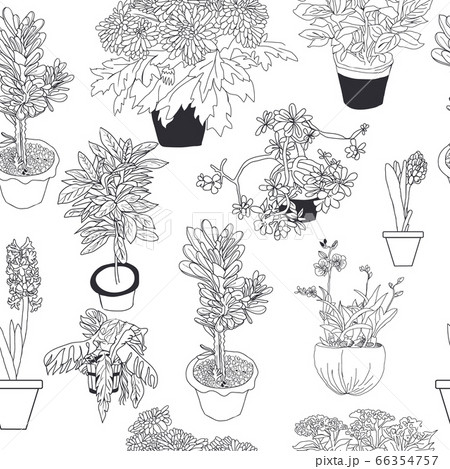 Seamless pattern of different house plants Seamless pattern of different house plants 66354757