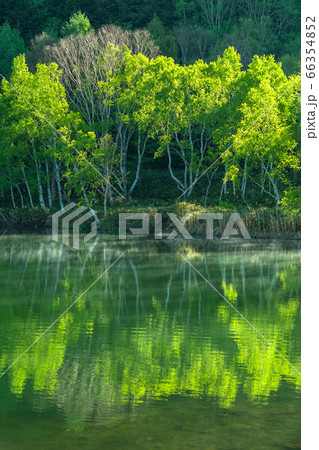 《長野県》新緑の木戸池・初夏の志賀高原 66354852