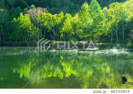 《長野県》新緑の木戸池・初夏の志賀高原 《長野県》新緑の木戸池・初夏の志賀高原 66354854