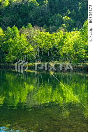 《長野県》新緑の木戸池・初夏の志賀高原 《長野県》新緑の木戸池・初夏の志賀高原 66354872