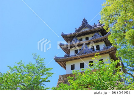 兵庫県　淡路島　洲本城 66354902