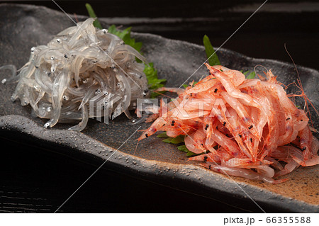 生しらすと生桜海老の写真素材