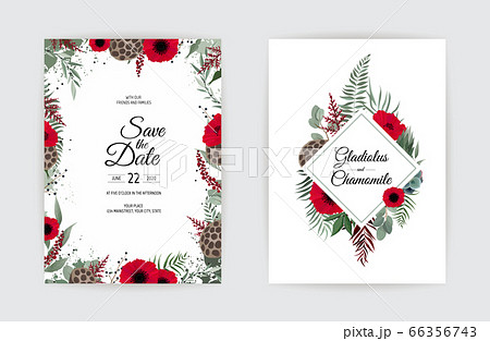 Vector floral design card. Greeting, postcard 66356743