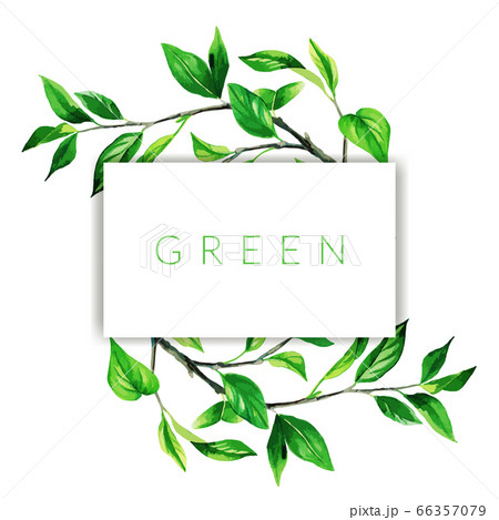 Hand drawn watercolor branches with green leaves frame Hand drawn watercolor branches with green leaves frame 66357079
