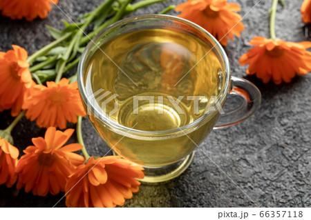 Calendula tea with fresh calendula flowers Calendula tea with fresh calendula flowers 66357118