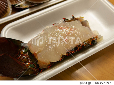 伊勢えび 66357197