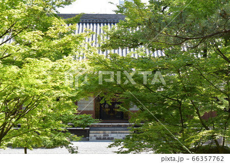 承天寺　境内 66357762