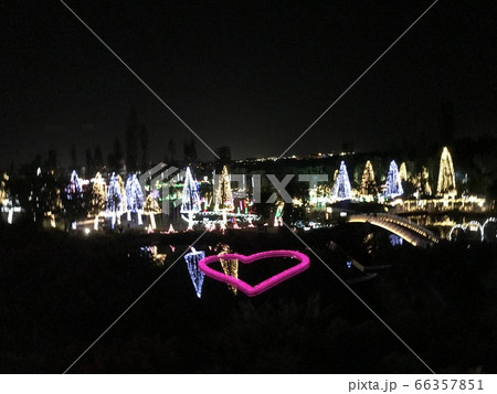 イルミネーション　東南植物楽園 66357851