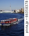 隅田川　遊覧船　東京スカイツリー　永代橋 66358378