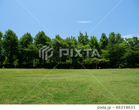 夏の鶴牧西公園 夏の鶴牧西公園 66358635