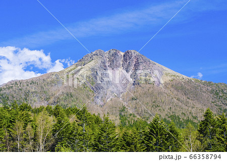 新緑と日光白根山 66358794