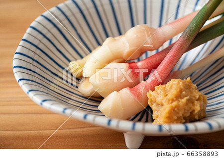 谷中生姜 谷中生姜 66358893