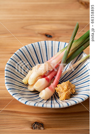 谷中生姜 66358895